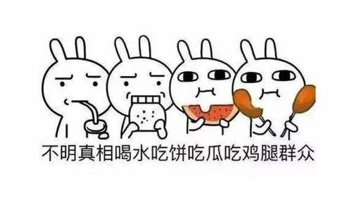 最初的吃瓜人,我的吃瓜人生之旅