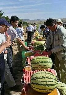 苏州地界吃瓜视频,街头巷尾的美食风情