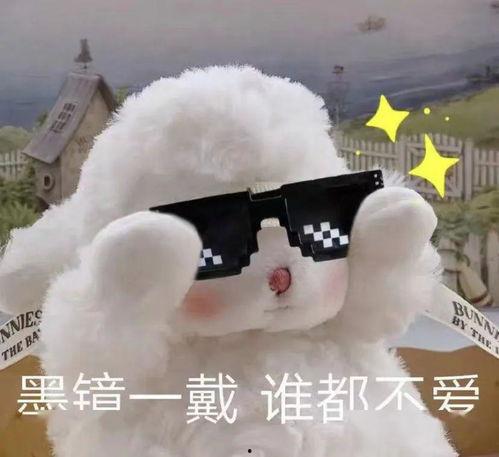 吃瓜小羊表情包,趣味横生的网络文化现象