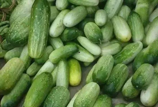 奥山吃瓜,揭秘娱乐圈背后的那些事儿