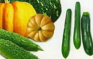 微信夏日吃瓜,清凉一夏，趣味无限！