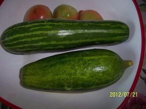 江西古茗吃瓜事件,一场引发社会热议的食品安全风波