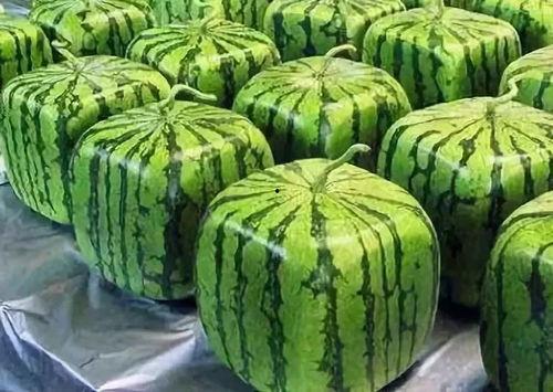 吃瓜什么平台多,揭秘各大平台吃瓜热潮背后的秘密