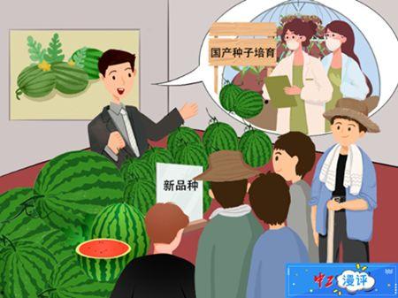 吃瓜群众如何绘画,轻松绘制趣味瓜界